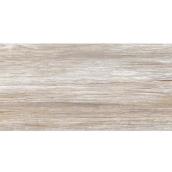 Carreaux de porcelaine émaillée Sahara Autumn Style Selections 12 x 24 po, 8/bte