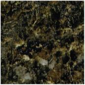 Moulded Counter Geneva, Labrador Granite, 27" x 8'