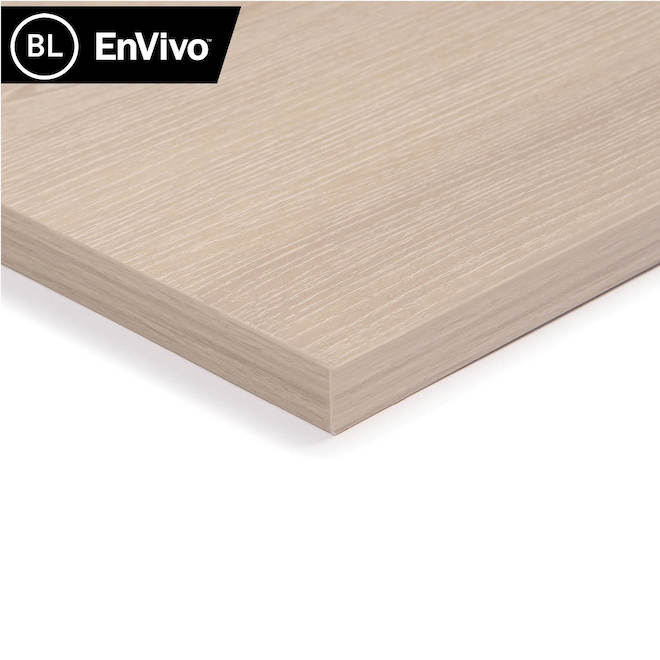 EnVivo Melamine Shelf 1 x 10 x 24-in - Silver Ash