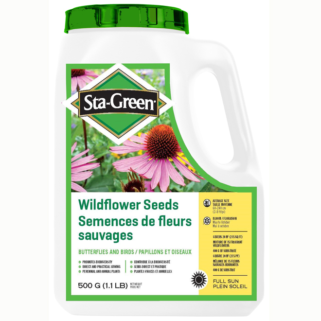 Semences de fleurs sauvages Perma Green pour oiseaux et papillons, 500 g