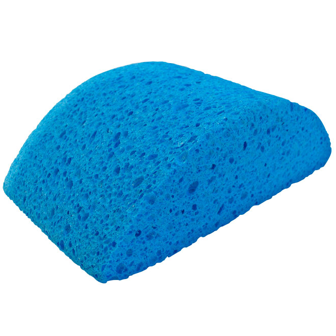 Turtleback Sponge for Wallpaper
