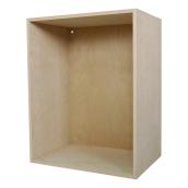 Cubik 24-in W x 30-in H x 14.75-in D Wood Veneer Cabinet with Back Panel