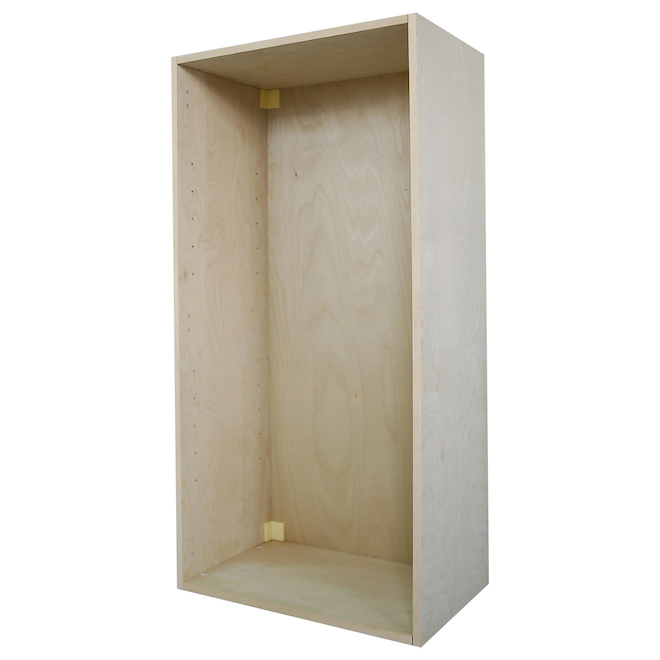 Cubik 24 x 48 x 14.75-in Wood Veneer Cabinet with Back Panel