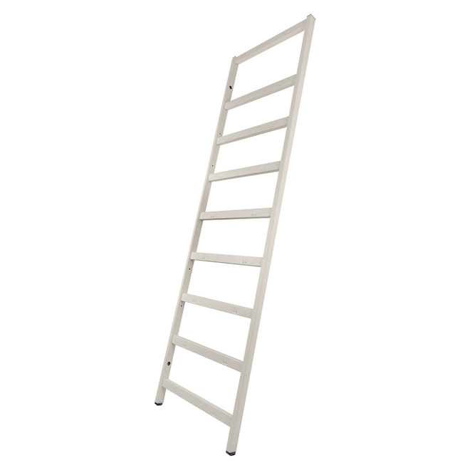 Rona deals step ladder