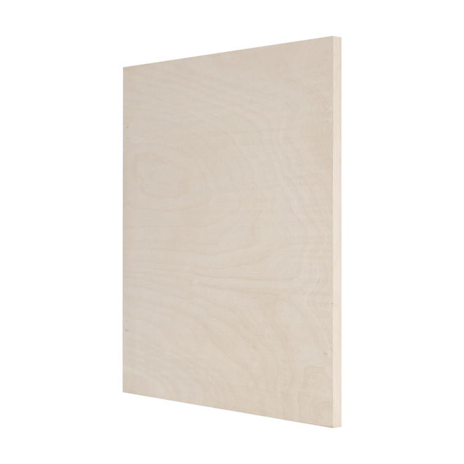 Cubik 28 x 21.25-in Natural Wood Veneer Finished Panel