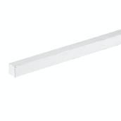 Finger-Jointed Pine Moulding - Primer - Linear Feet