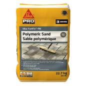 Sable polymérique gris FastFix-110 par Sika 22,7 kg