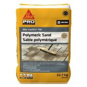 Sika FastFix-110 22.7 kg Beige Polymeric Sand