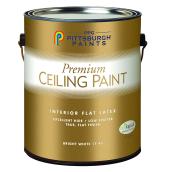 Latex Ceiling Paint - 3.78 L - Matte White