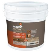 Olympic Rescue It! Resurfacer Plus Sealant in One for Wood and Concrete - Moderate Restoration - Base 2 - 10.1-L