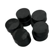Paulin Disc Magnets - Ceramic - 1/2-in x 3/16-in - 10-Pack