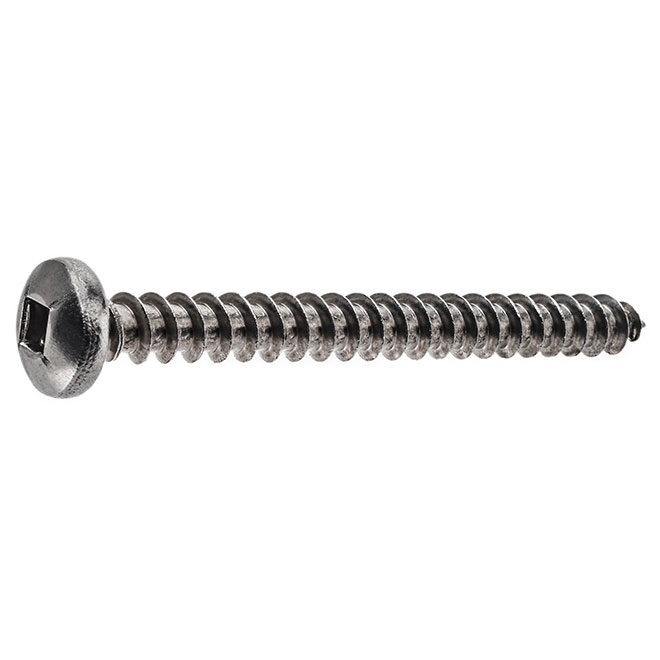 Vis à tête cylindrique en acier inoxydable Precision, no 8, 2 po, autotaraudeuses, empreinte carrée, paquet de 2