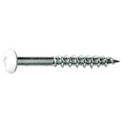 Precision White Painted Round Head Particle Board Screws - #8 x 5/8-in - Square Drive - Steel - 1 lb Per Pack