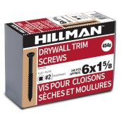 Precision Socket Head Drywall Screws - Steel - Black - 1-lb Pack - #6 x 1 5/8-in