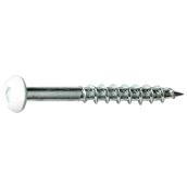 Precision White-Painted Round-Head Particle Board Screws - #8 x 1 1/2-in - Square Drive - Steel - 100 Per Pack