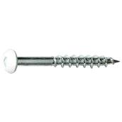 Precision White-Painted Round-Head Particle Board Screws - #8 x 1 1/4-in - Square Drive - Steel - 100 Per Pack