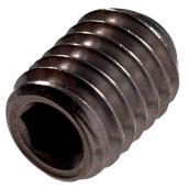 Hillman 1/4-in x 0.3125-in Alloy Cup-Point Allen-Drive Standard SAE Socket Cap Screw 2-pack