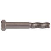 Hillman 1/2-in-13 Stainless Steel Hex-Head Standard SAE Cap Bolt 2-pack