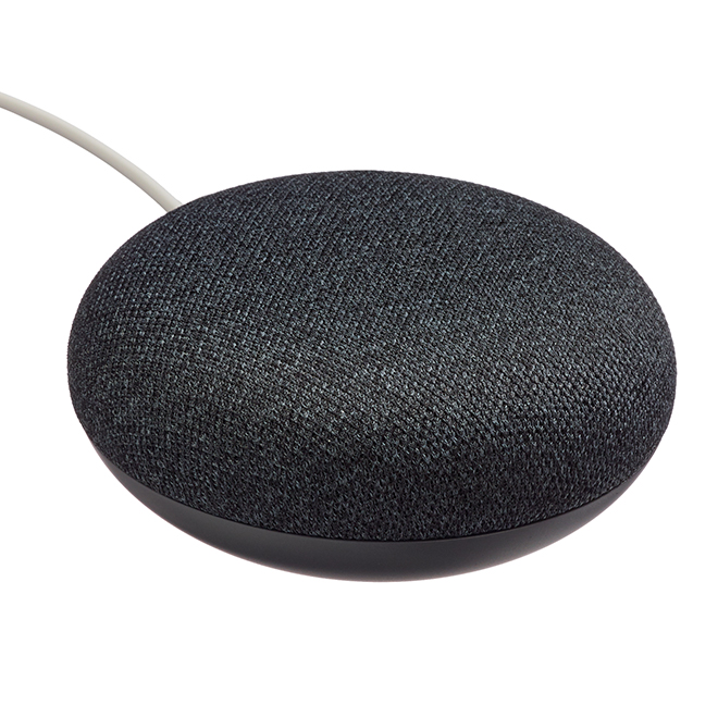 Google Home Mini - Smart Speaker - Charcoal GA00216-CA | RONA