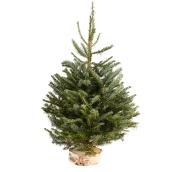 30-in to 40-in Table top Christmas Tree