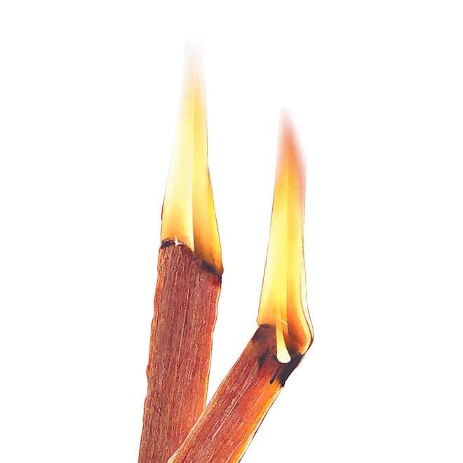 Imperial 1.5-lb Natural Fatwood Firestarter