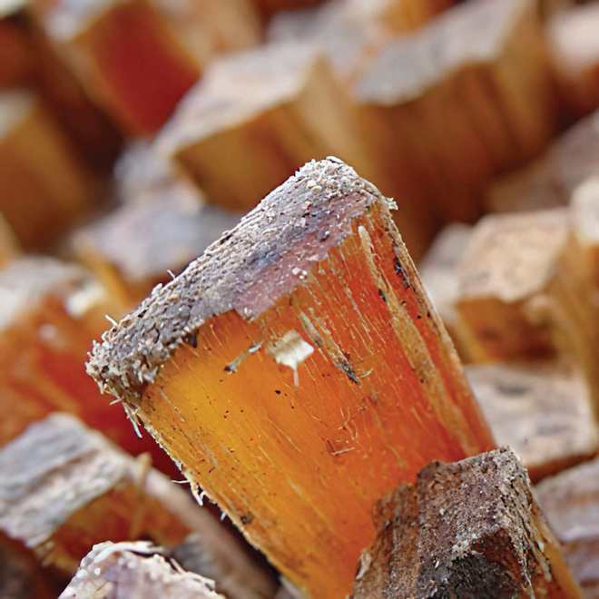 Imperial 1.5-lb Natural Fatwood Firestarter