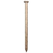 Common Nails - Gold Coat - 3 1/2