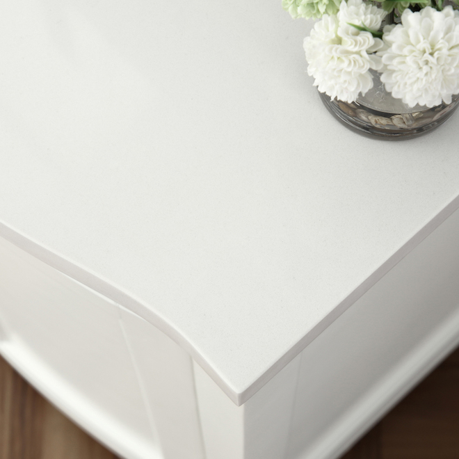 OVE Decors Royal York White Vanity with Top 24in ROYALYORK24W RONA