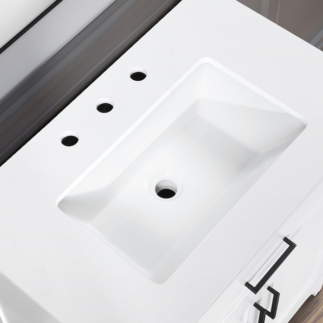 OVE Decors Alanis 30-in Vanity Traditional Style with 2 Doors - White