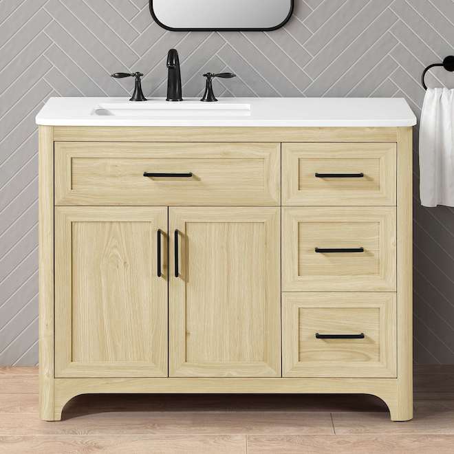 OVE Decors Alanis 42-in Vanity Traditional Style with 2 Doors - Light Birch