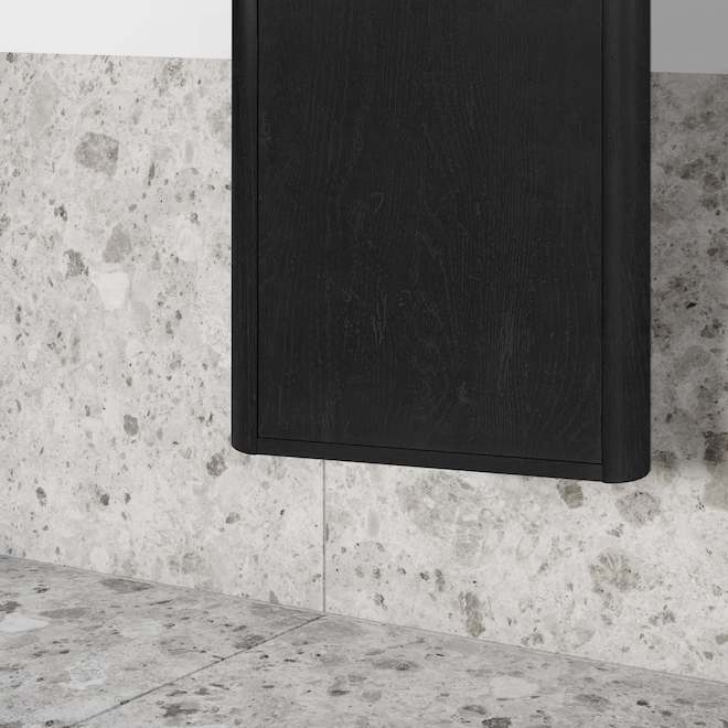 OVE Decors Blair 65-in Vanity Traditional Style with 2 Doors and 3 Shelves - Ebony