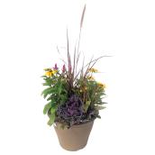 Arrangement automnal en pot, 13