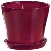 Pot à fleurs en céramique Scheurich avec soucoupe, 6", rouge foncé
