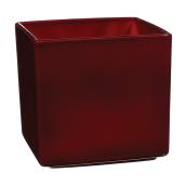 Cache-pot carré « Panna » en céramique 5 po, rouge foncé