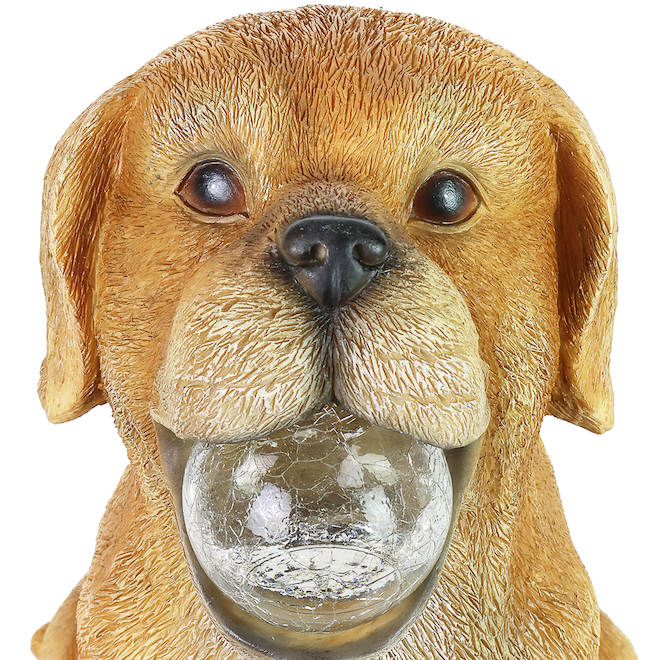 Statue de chien Exhart avec balle lumineuse DEL à énergie solaire