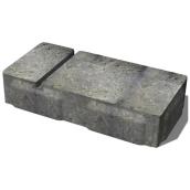 Decor Precast Paver - Concrete - Earth Blend - 6-in x 12-in x 2-in H