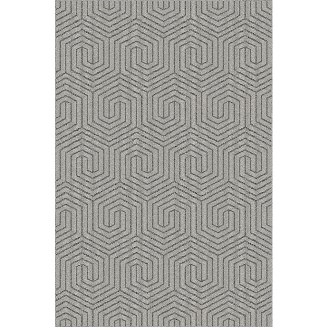 Roomio Gema Indoor Polypropylene Rug of 48 x 72-in - Silver Iron