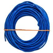 Southwire 100-ft 23/4 CAT 6 (Ethernet) Riser Blue Data Cable