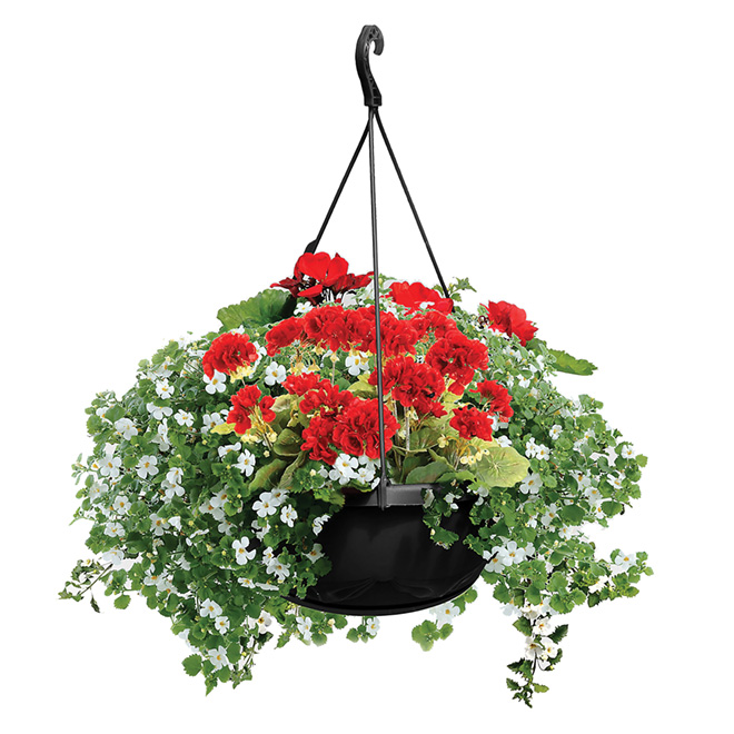 Large Hanging Basket Assorted 14.3'' JAR14 RONA