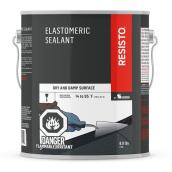 RESISTO 4-kg Black Elastomeric Sealant for Dry and Damp Surface