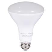 11W LED Dimmable BR30 Bulb - Day Light