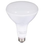 Ampoule à DEL de Luminus, blanc chaud, intensité réglable, BR40-E26, 1450 lm, 7 W