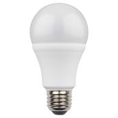 Ampoule DEL A19 9 W, intensité non variable, blanc chaud