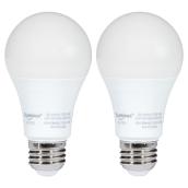 Ampoule DEL A19 5,5 W, non-variable, blanc doux, 2 pqt