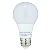 Ampoule DEL A19, 6 W, blanc chaud
