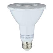 LED Bulb - PAR30 - Bright White