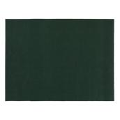 Indoor or Outdoor Rug - 6' X 8' - Green