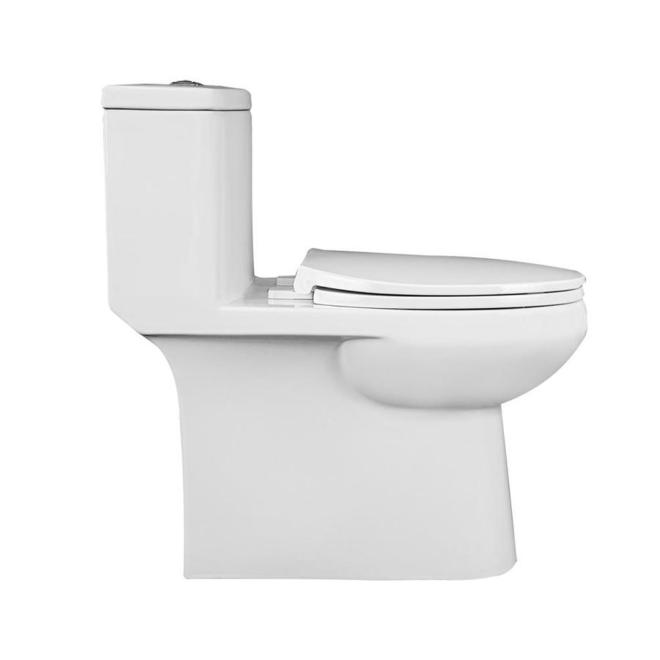 Project Source Lynton 1-Piece Toilet - Elongated - 3-L /4.8-L - White