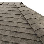 GAF TimberTex Asphalt Shingle - 20-linear ft - Birch