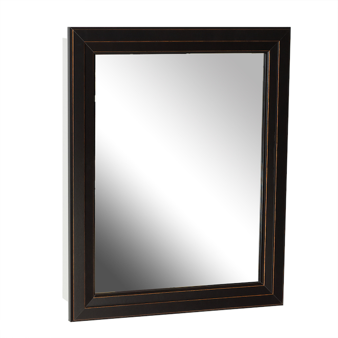 Zenith 24.5in x 30.5in Rectangle Surface/Recessed Medicine with Mirror BRS2430 RONA